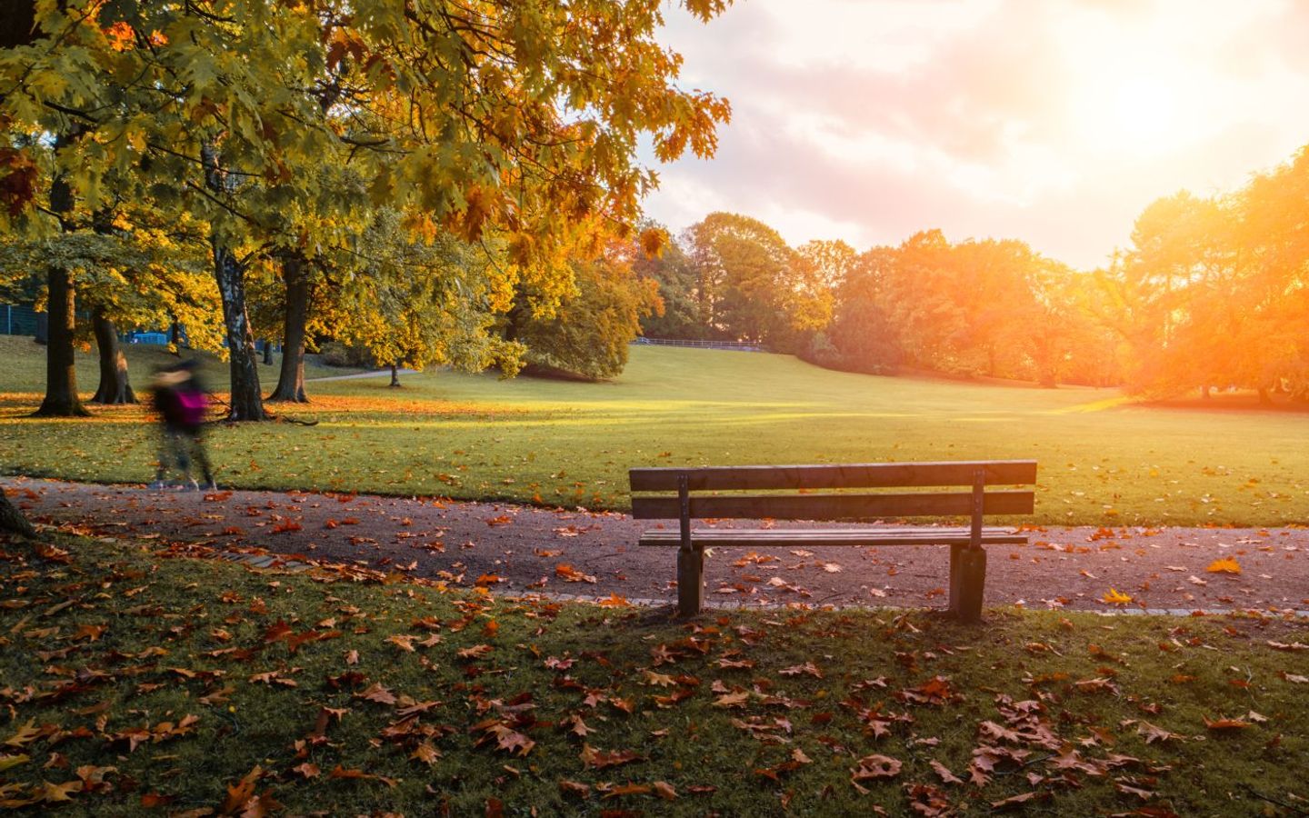 Aachener Stadtpark