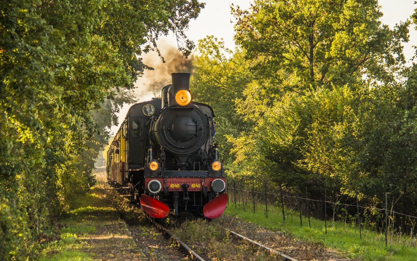 De Miljoenenlijn-stoomtrein-eys-wittem-herfst