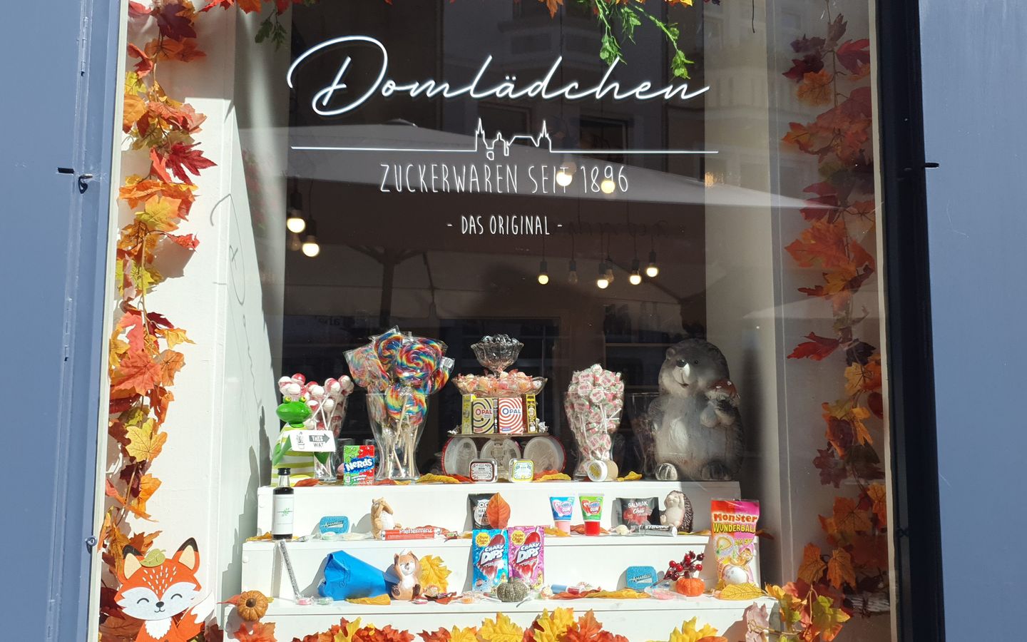 Domlädchen Schaufenster.jpeg