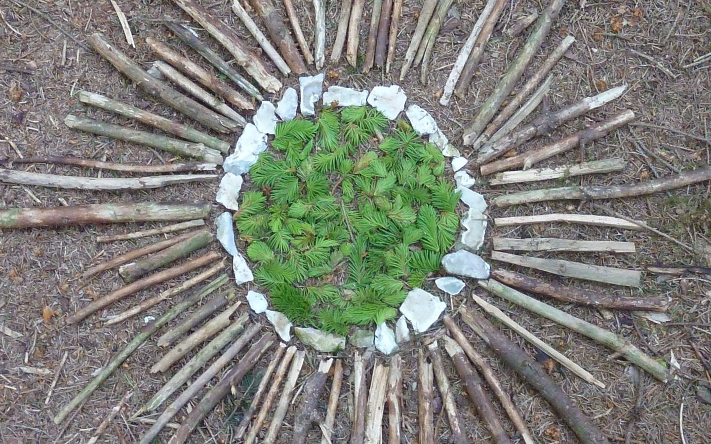 Die Waldkäuze