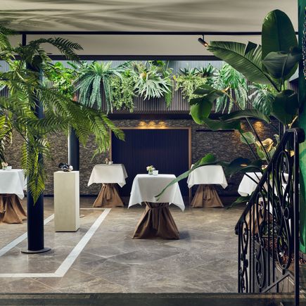 La Butte Aux Bois Empfangsbereich