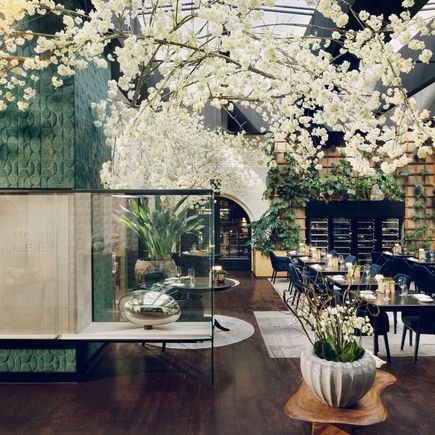 La Butte Aux Bois Raum mit Pflanzen