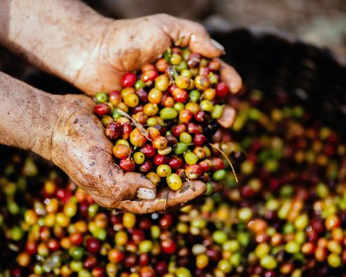 Fairtrade Aktionstage