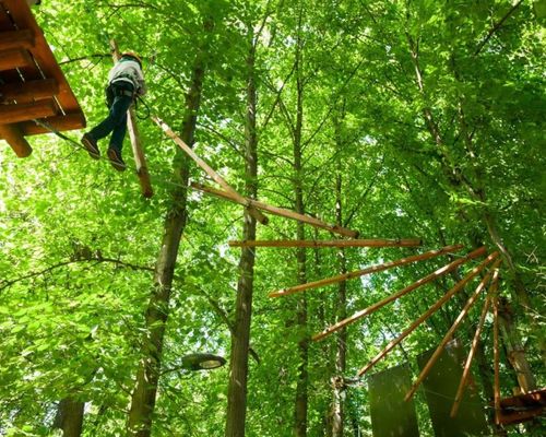 Climbing forest