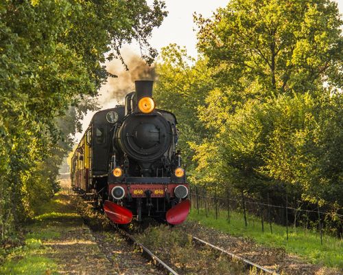 De Miljoenenlijn-stoomtrein-eys-wittem-herfst