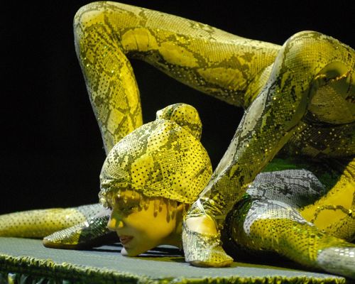 Weihnachtscircus Aachen