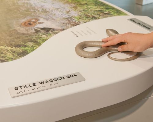 Wildnis(t)räume_Ausstellung 3 Nationalpark-Zentrum Eifel (c) Vogelsang IP-Roman Hövel.jpg