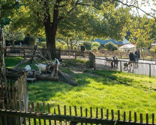 2022-10 Aachener Tierpark 4 (c) aachenviews.jpg