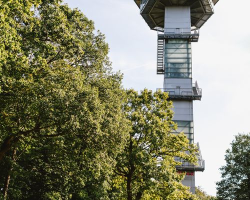 Dreiländereck Observation Tower.jpg