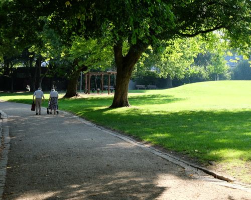 Ferberpark im Sommer
