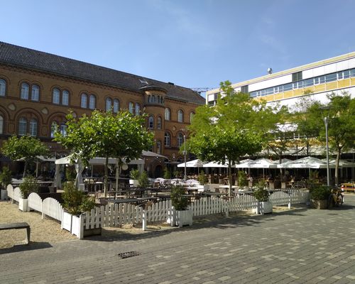 Kapuzinerkarree im Sommer